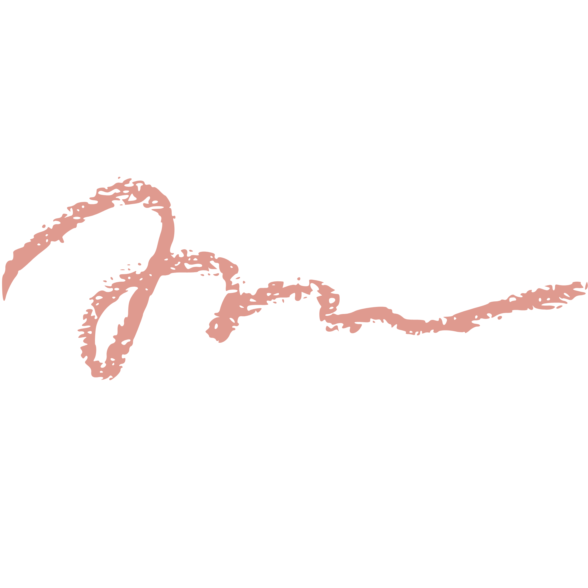 Home hand drawn line