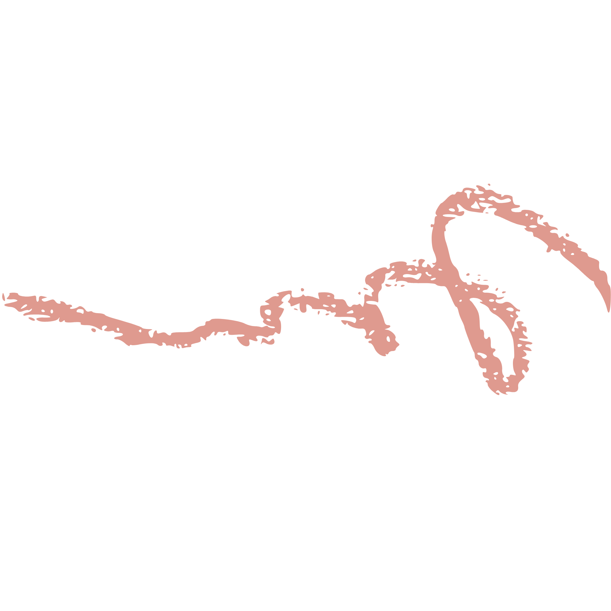 Home hand drawn line 2